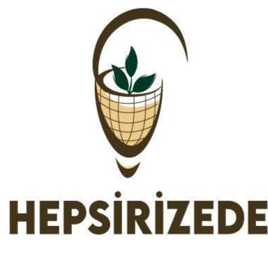 Hepsirizede logo