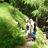 Bike - Tarscher Alm 18.06.13