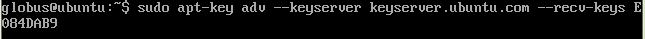 install r ubuntu server 10.04