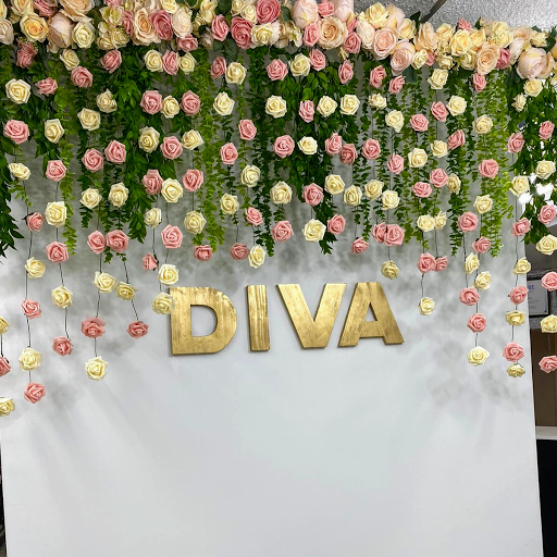 Diva Unisex Salon logo
