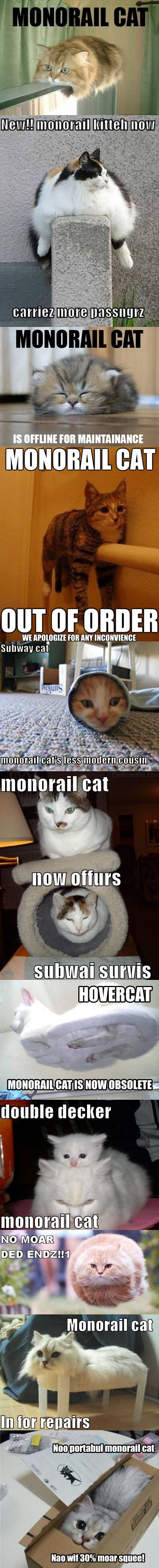 Monorail Cats