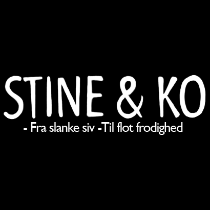Stine & Ko logo