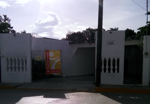 Centro Deportivo de Taekwondo Prado, Calle 18, Prado, 24030 Campeche, Camp., México, Escuela deportiva | CAMP