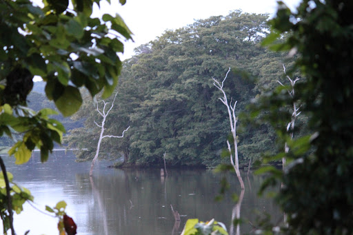 Kaudulla National Park