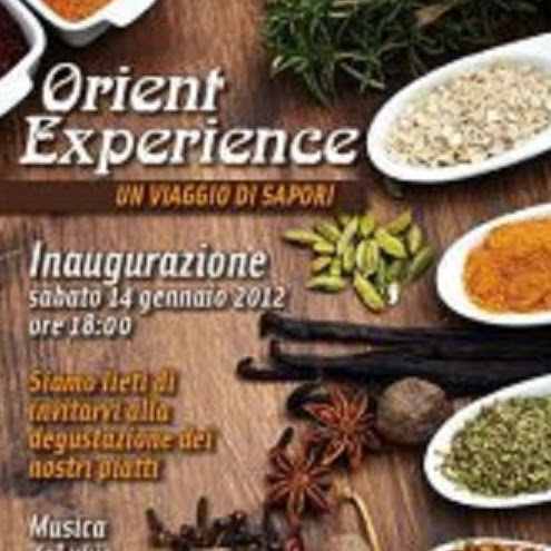 Orient Experience logo