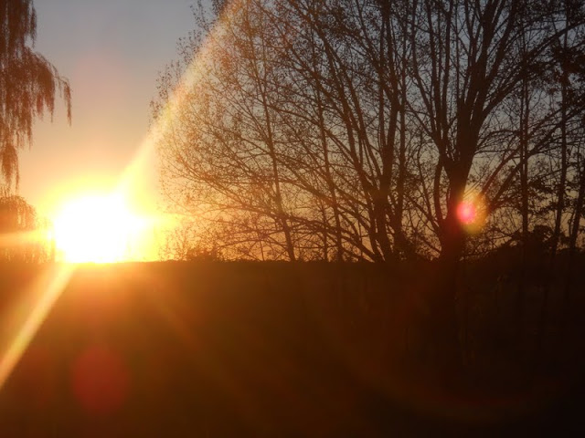 DSCN2381.JPG