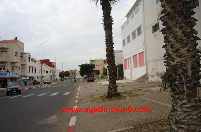 شارع الحاج الحبيب بمدينة اكادير DSC01512