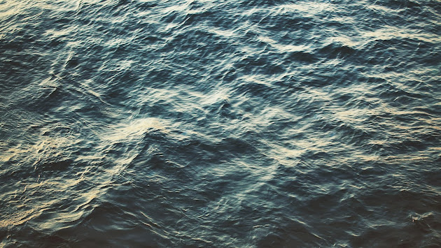 Cover photo