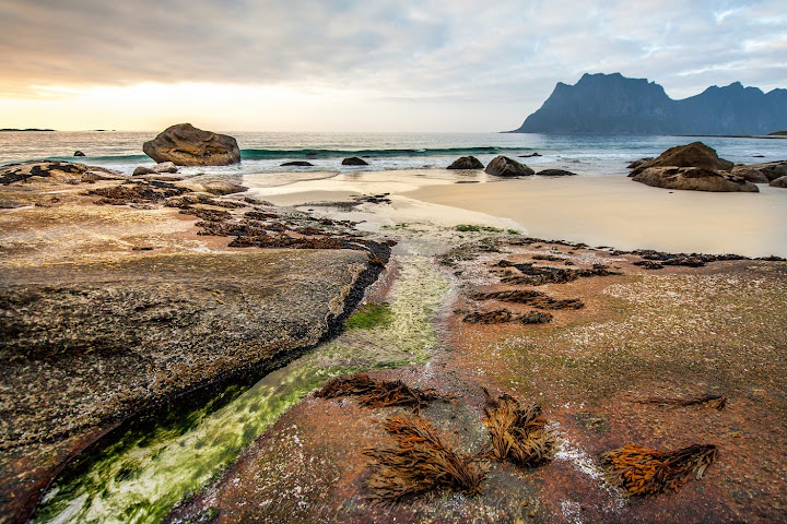 Visit a beach! The Most Interesting Things to do in Lofoten, Norway