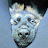aBBeY NoRMaL avatar image