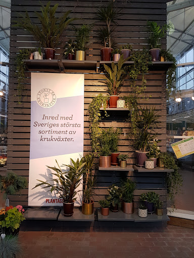 Plantagen Värmdö