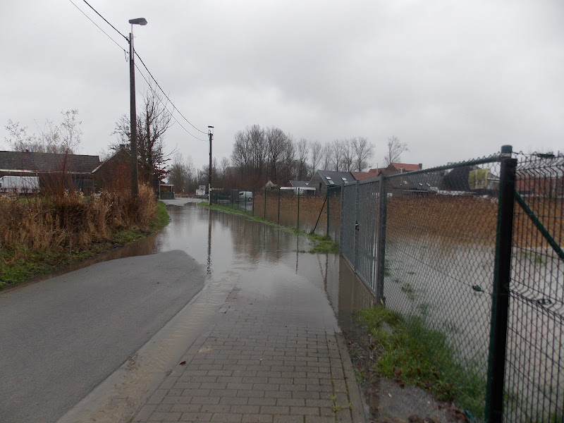 Weerwoord | Foto's wateroverlast Molenbeek Erpe-Mere