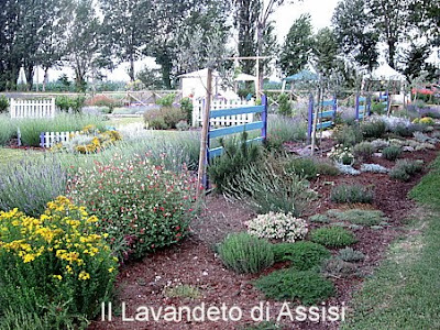 Progetti giardini online gratis progetti giardini privati for Idee aiuole giardino