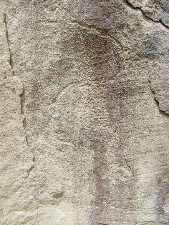 Mud-covered petroglyph