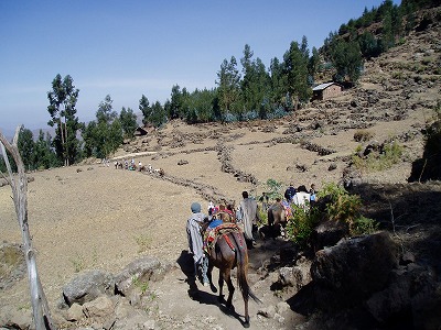 エチオピア旅行記|普通、観光客はロバに乗ってやってくる 
