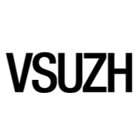 Verband der Studierenden der Universität Zürich (VSUZH) logo