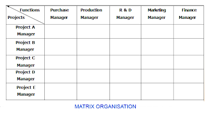 matrix organisation