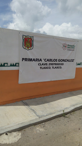escuela Primaria Carlos Gonzalez Tlaxco, Libramiento 19, Tepatlaxco, 90250 Tlaxco, Tlax., México, Escuela de primaria | TLAX