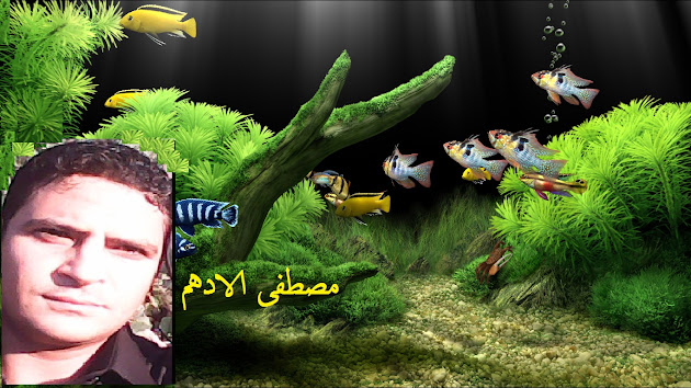 Cover photo