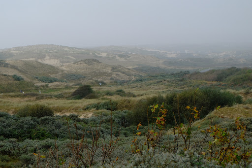 Dunes de la Slack