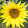 Marisa Blume Marisa Blume's profile photo