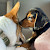 Reviewer Profile Image