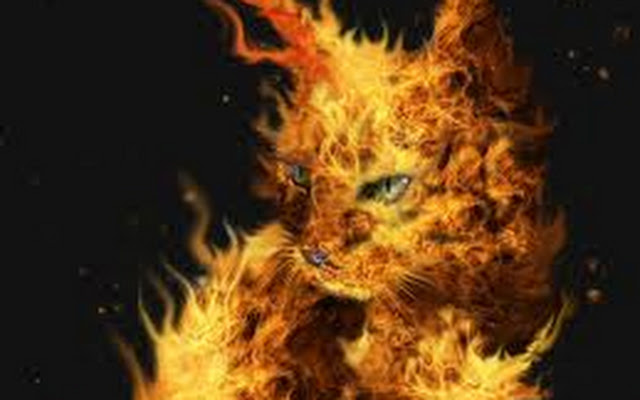 [Immagine: Fire+Cat.jpg]
