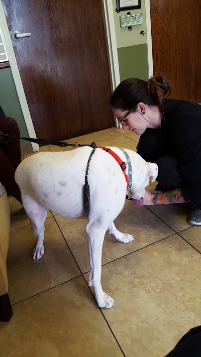 Photos of Coal Creek Veterinary Hospital