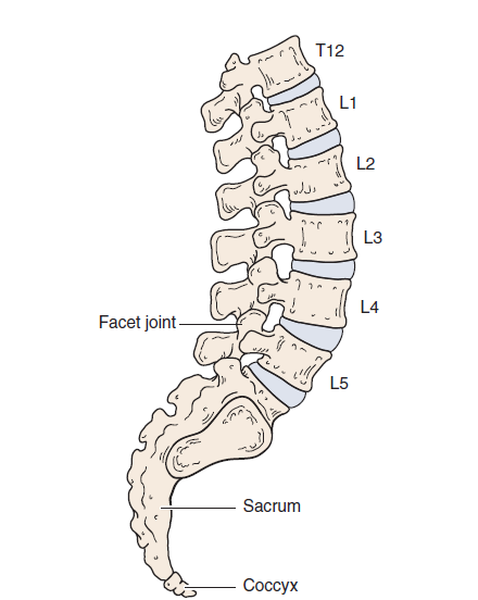 Image shows lumbar spine normal range of motion