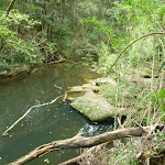 Berowra Creek in Westleigh (333866)