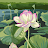Denneen Macariola avatar image