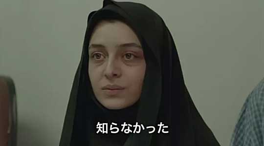 Nader and Simin, A Separation Hosted by Picasa