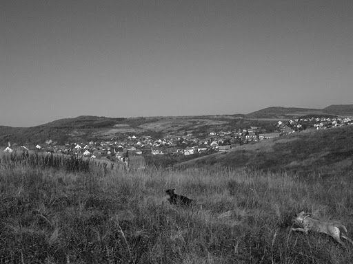 DSCF1905.JPG