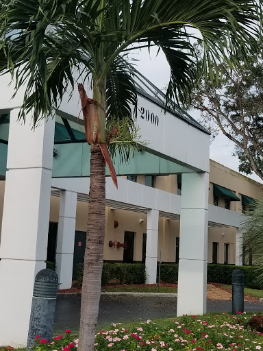 College «City College Fort Lauderdale», reviews and photos