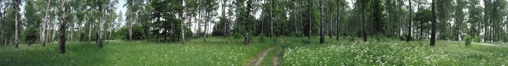 DSCF0635.JPG