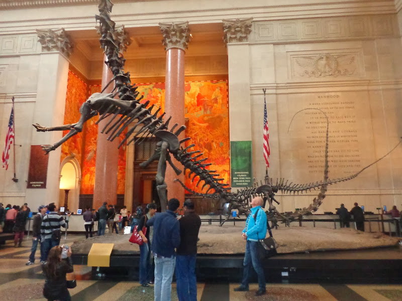 Честное октябрятское, на Евродаме можно жить! Октябрь 2013, круиз по Карибам