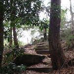 Steps at the bottom of the Bungaroo track (122500)
