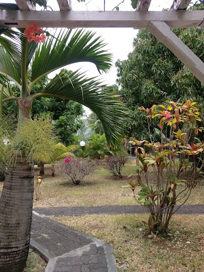 Photos of Les Lataniers Bleus - Guest House