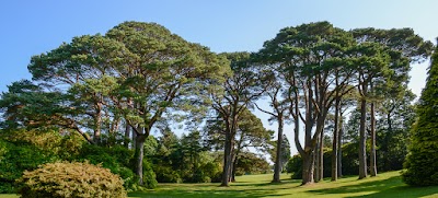 Photos of Muckross House, Gardens & Traditional Farm