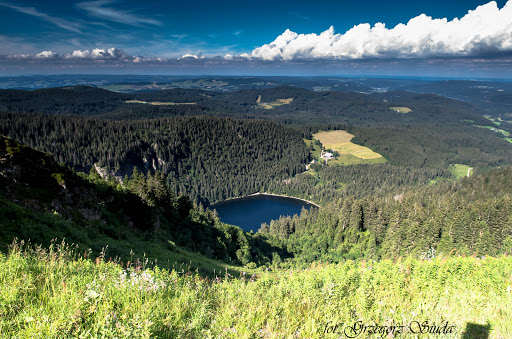 Place around image
