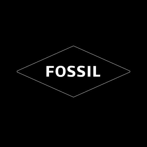 Fossil Store Belfast logo