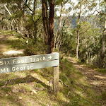 Six Foot Track north of Mount George (418373)