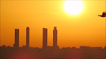 Urraca en la salida del sol en Madrid por las 4 torres de la Castellana (2)