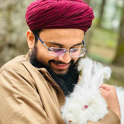 Sayyed Amir Hussain's user avatar