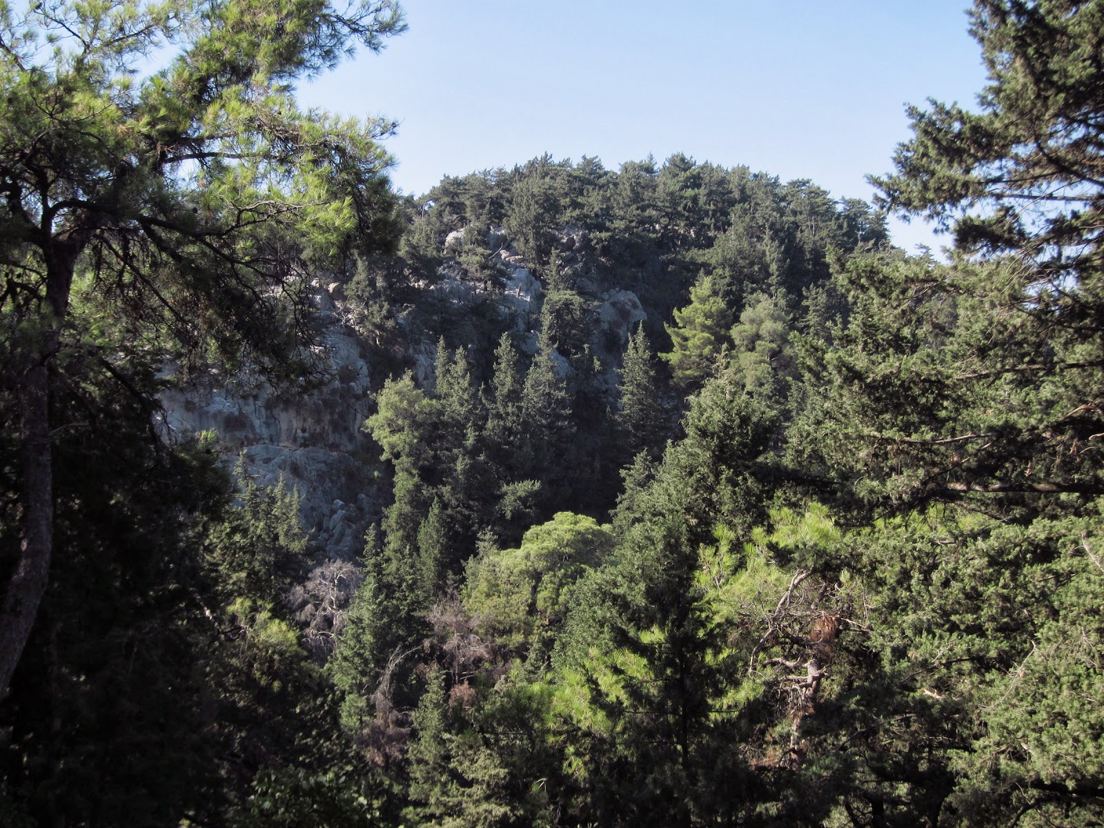 Εικόνα