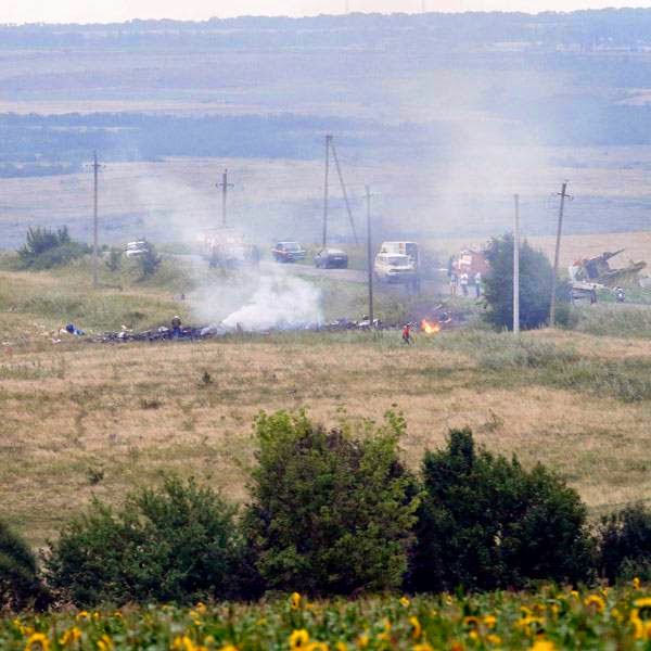 The site of a Malaysia Airlines Boeing 777 plane crash is seen near the settlement of Grabovo in the Donetsk region, July 17, 2014. 