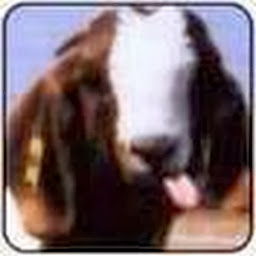 Turkeyphant's user avatar
