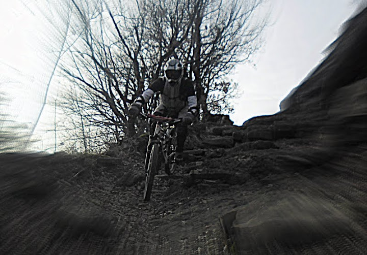 SAM_2290.JPG