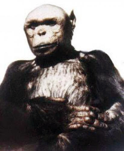 Ape Man Oliver The Chimp That Made A Chump Out Of Science