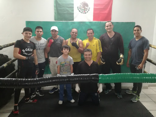 Escuela De Boxeo Bufag, 47400, Centro, Lagos de Moreno, Jal., México, Escuela de boxeo | JAL